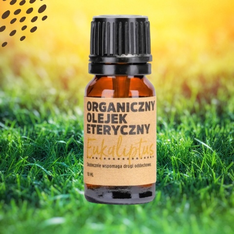Organiczny Olejek Eteryczny Eukaliptus - Manufaktura Bursztynnika 10 ml