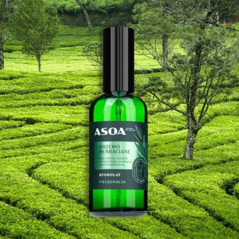 Hydrolat z Drzewa Herbacianego ASOA 100 ml